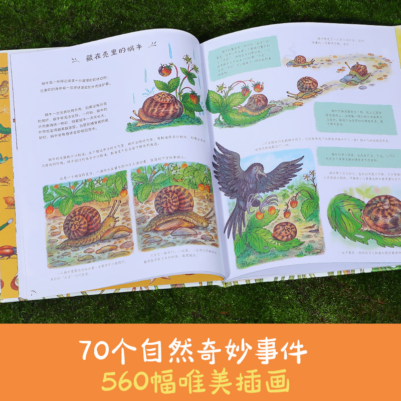 当小脚慢下来+小小世2册点读版 [正版] 当小脚慢下来 发现小小世界 点读绘本儿童读物3-6岁以上大自然百科读物科普绘本