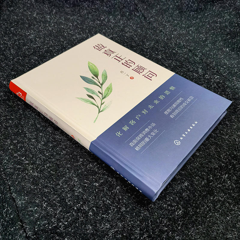 [正版]做真正的顾问 吕一丁 保险从业人员销售沟通技巧 销售心理学保险成单签约技巧指导 保险销售大客户成交秘籍经济学保高清大图