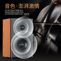 先科(SAST)家庭影院k歌电视音响10寸超重低音炮2.1台式电脑笔记本音箱蓝牙音响大功率木质客厅卧室手机通用