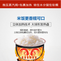 飞利浦（Philips）电饭煲HD3160家用迷你智能预约电饭锅底盘加热不粘涂层内胆2L太空黑可制作酸奶HD3060升级