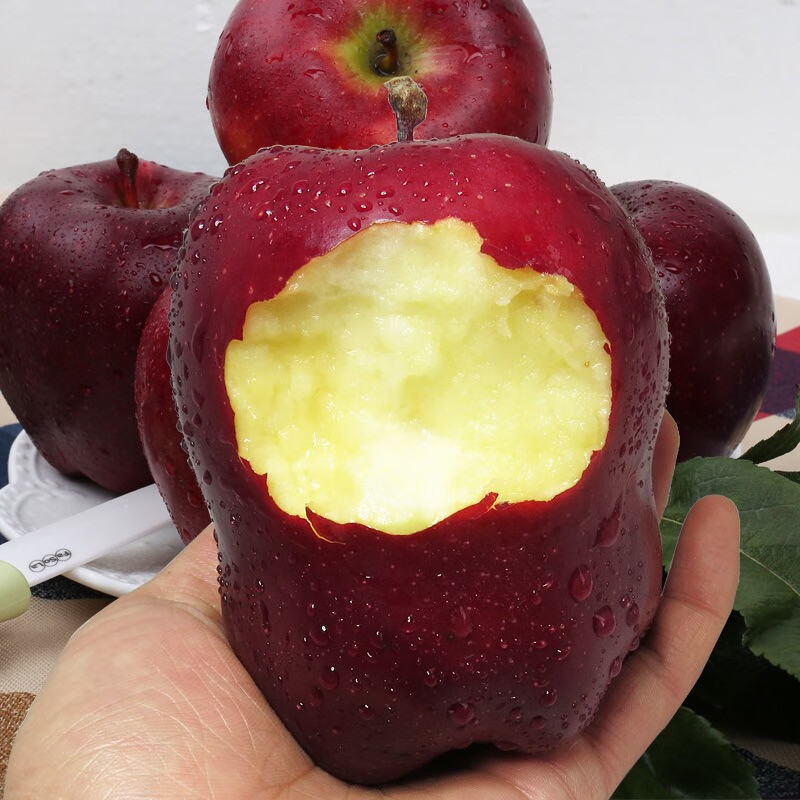 鲜木甘肃天水花牛蛇果苹果新鲜水果粉面刮泥老人孕妇宝宝水果时令水果