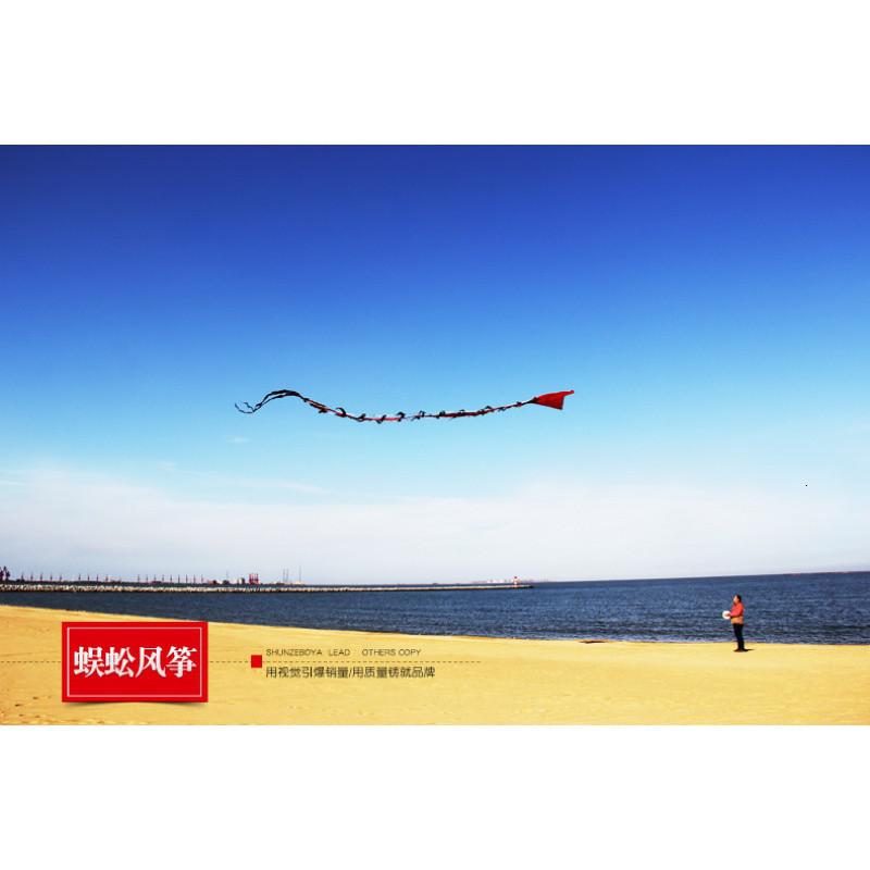 潍坊风筝蜈蚣风筝大型成人风筝儿童卡通风筝线轮T14创意 三维工匠 7米小蜈蚣[不含线轮]高清大图