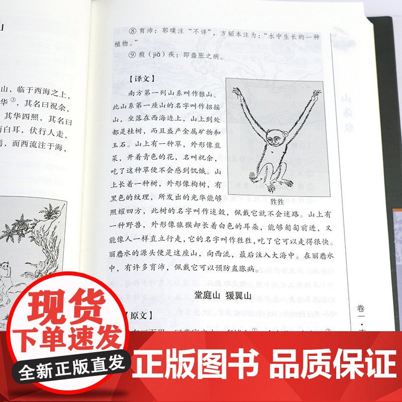 山海经(锁线精装)足本原著无障碍阅读白话文全译图文版学生青少年成人经典中国古代地理历史图文版书籍高清大图
