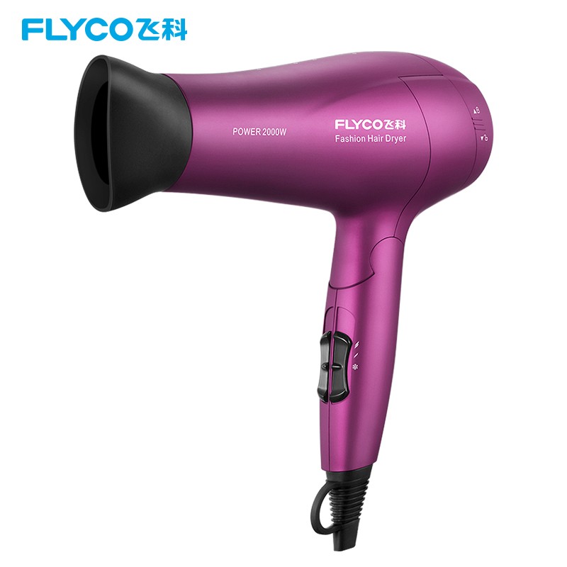 飞科(FLYCO) FH6618 电吹风机家用2000W大功率吹风筒负离子 单位:台