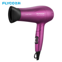 飞科(FLYCO) FH6618 电吹风机家用2000W大功率吹风筒负离子 单位:台