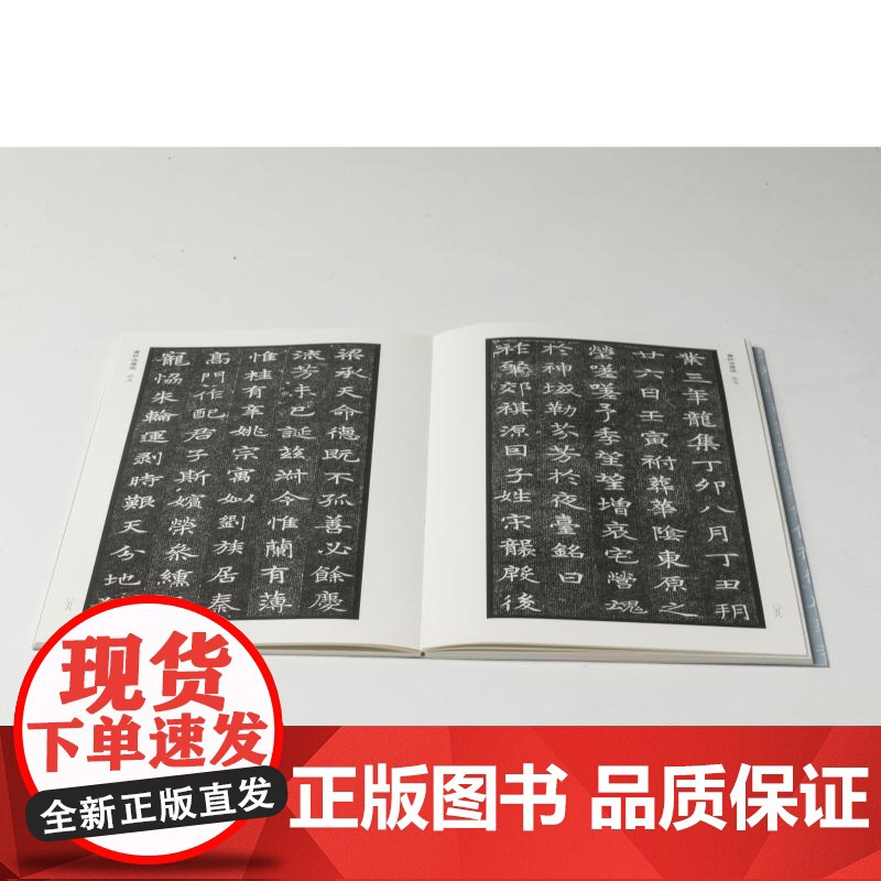 隋代墓志精粹一武德皇后阿史那氏王升乙弗明郑祁耶萧妙瑜张宪卿张振妻韦氏解方保刘豪杜佑 本社编上海书画出版社精选书法资料鉴赏高清大图