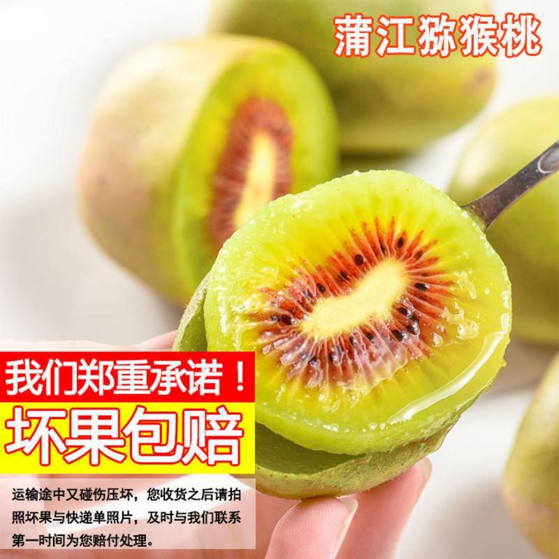 赛卡伊 现摘红心猕猴桃 四川蒲江猕猴桃水果批发 新鲜奇异果应季弥核报价_参数_图片_视频_怎么样_问答-苏宁易购