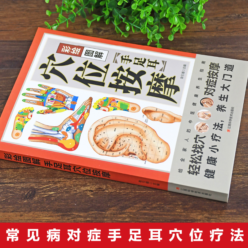[正版]彩绘图解手足耳穴位按摩书籍 轻松找穴对症按摩 经络穴位按摩大全书籍 人体穴位经络图 中医穴位书籍中医推拿按摩畅高清大图