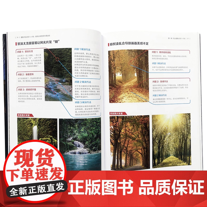 摄影作品点评123例如何让你的照片更出彩 雷波 正版书籍 化学工业出版社 走上摄影学习的正轨向拍出好照片迈出重要的一步高清大图