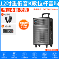 夏新(AMOI)户外拉杆音响SA-802 无咪版