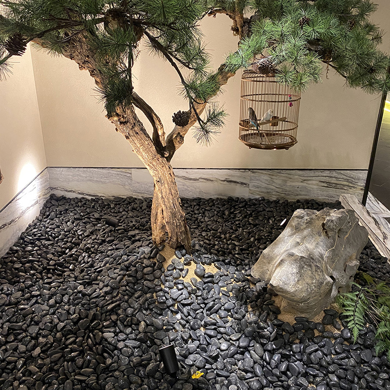 鹅卵石雨花石原石天然小石子鱼缸花盆鹅软石庭院装饰园艺五彩石头