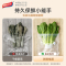太力真空食品袋保鲜袋压缩密封袋食品级食物包装袋冰箱家用塑封袋-大号20个装+手泵