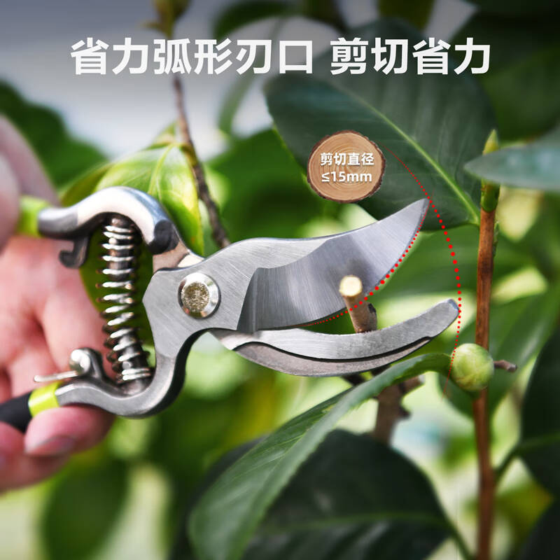 得力工具DL2778_不锈钢直嘴花木剪8“(新VI)高清大图