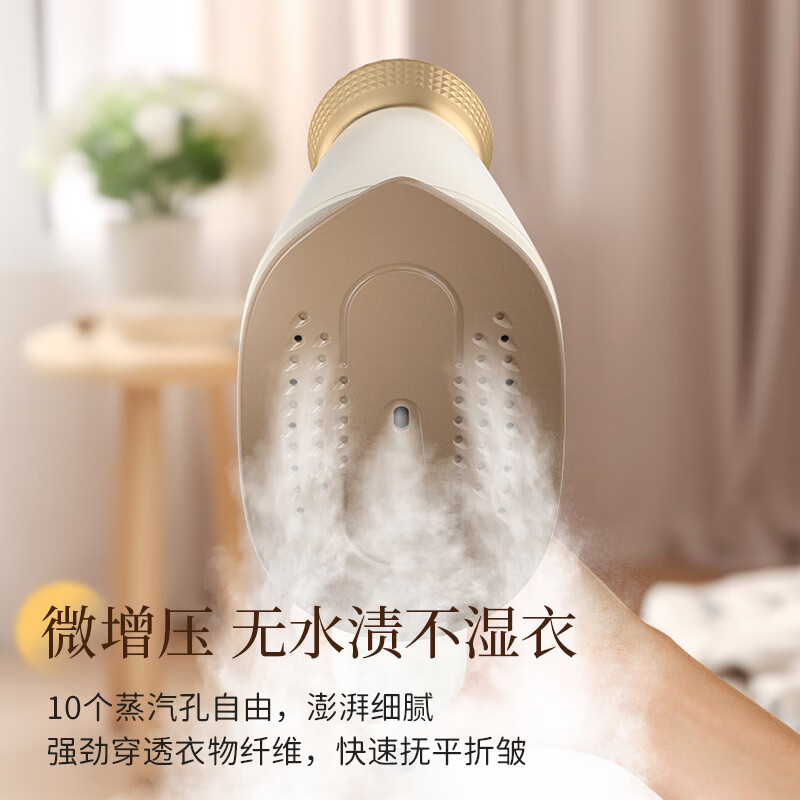 志高(CHIGO)手持挂烫机电熨斗熨烫机家用小型差旅便携120ml水箱20g/min增压蒸汽除菌团购熨斗801