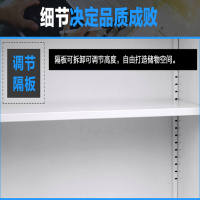 汉诺鑫威钢制文件柜办公资料柜铁皮档案柜带锁储物柜财务凭证柜中二斗器械柜