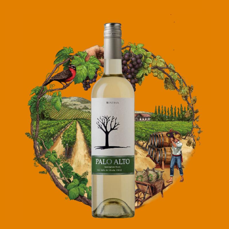 智利原瓶进口干露木影珍藏长相思干白葡萄酒750ml2支装