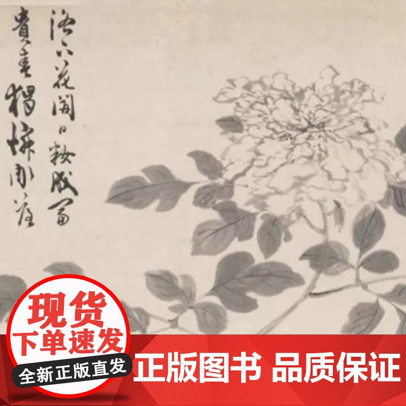 书画名家年谱大系 陈淳年谱 上海书画出版社高清大图