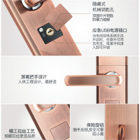 【BIEGAM】陛迦S1指纹锁智能锁电子门锁防盗门电子门锁通用型别墅室外门 【远程密码开锁 】三年质保
