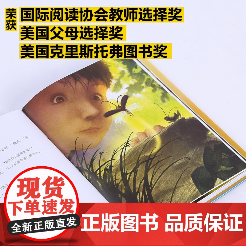 正版童书 萤火谷的梦想家 精装获奖儿童文学故事书二三四五年级非注音8-9-10岁青少年励志成长文学小说小学生课外阅读书籍高清大图