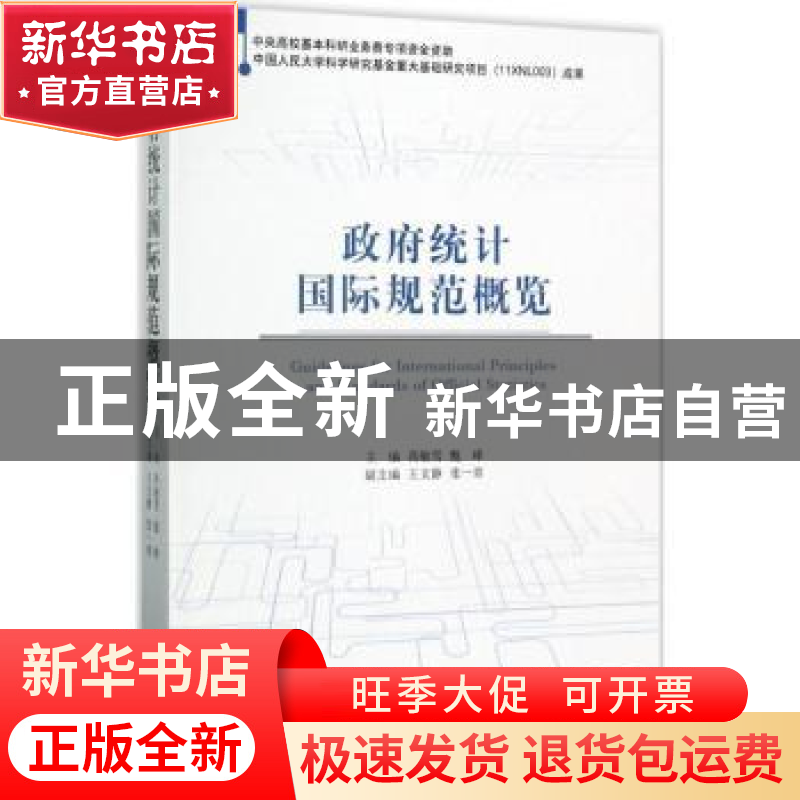 正版 政府统计国际规范概览 高敏雪,甄峰主编 经济科学出版社 97高清大图