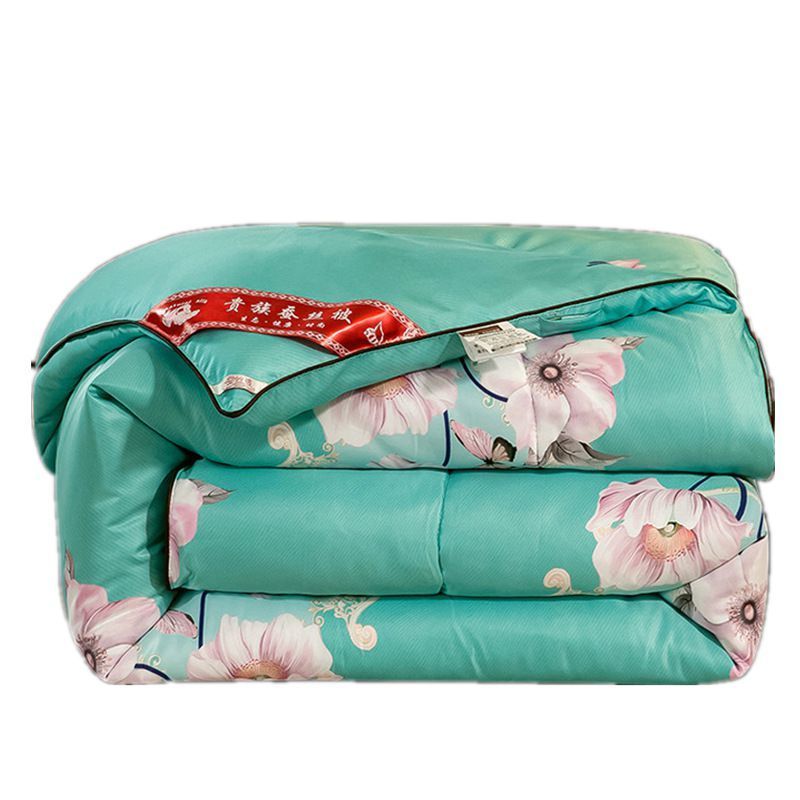 春秋冬被蚕丝被空调被单双人加厚保暖冬被学生被子纯手工被