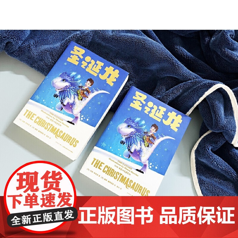 圣诞龙 汤姆·弗莱彻奇遇系列高清大图