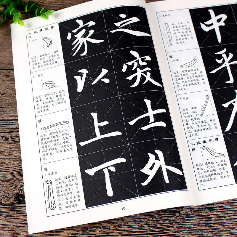 [正版]胆巴碑 教程+原帖全2册 胆巴碑楷书教程 初学者入门书籍临摹毛笔书法教程赵体楷书毛笔字帖书法教程 安徽美术 浩高清大图