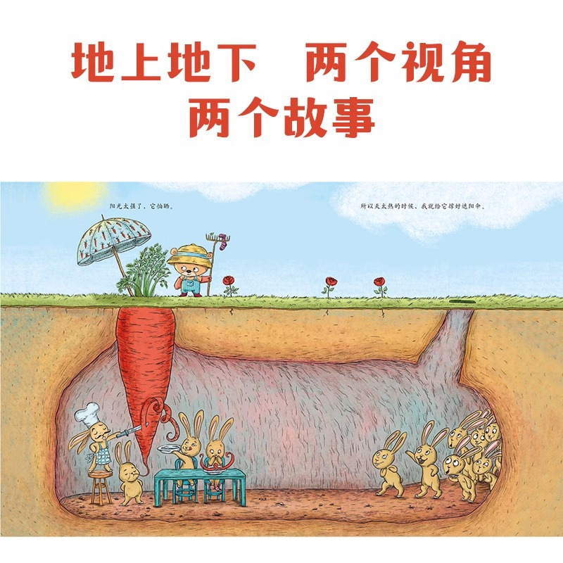 你为什么不开花 [正版]你为什么不开花童书 绘本 精装硬壳 3-4-5-6周岁幼儿园宝宝早教启蒙幼升小衔接绘本图画故事书