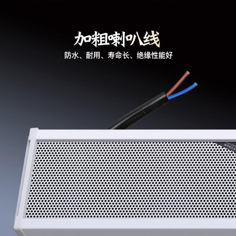 先科40W户外蓝牙防水音柱40W单位:个