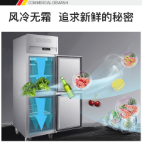 德玛仕(DEMASHI)商用风冷冰柜 厨房髙身雪柜 二封门不锈钢冷藏冷冻保鲜柜LD0.5L2W 风冷款全冷冻