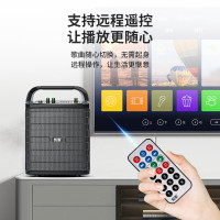 索爱(soaiy)SA-F33手提音响高低音户外k歌大音量广场舞电木吉他乐器音箱直播小型家用音箱 双麦