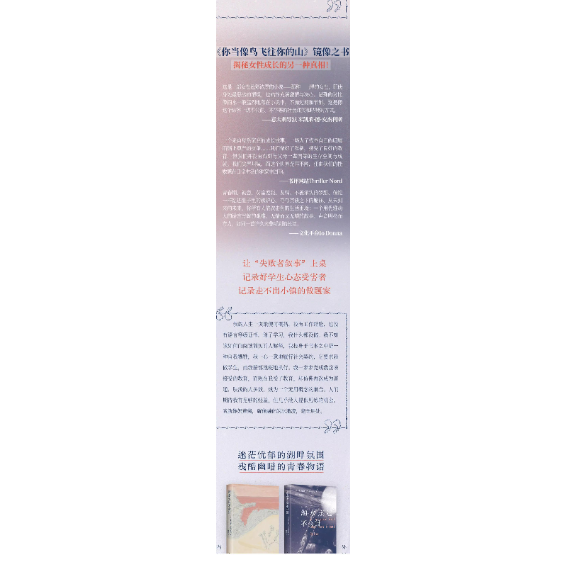 正版新书]湖水永远不会甜(意)茱莉亚•卡米尼托 著 陈波 译97875高清大图