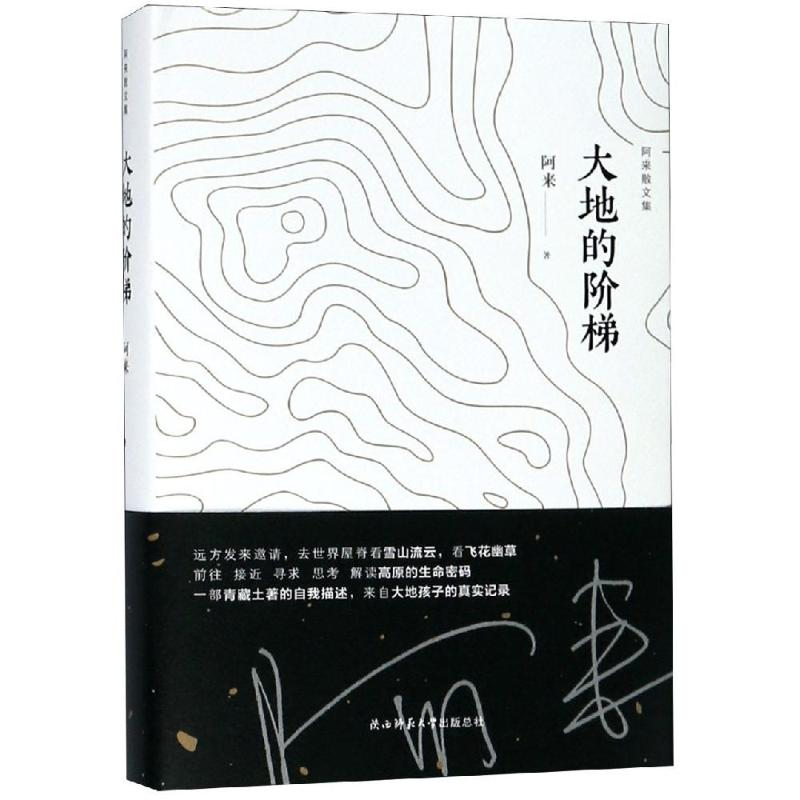 醉染图书大地的阶梯9787569502749高清大图