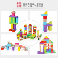 天启TQ积木 幼儿园3-6岁儿童玩具 男孩女孩生日礼物 110粒大颗粒 积木益智木制玩具