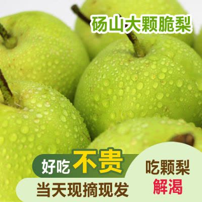 湛航杭茄一号长茄蔬菜,紫长线茄,茄瓜,精品线茄子,非圆茄子黑茄【价格