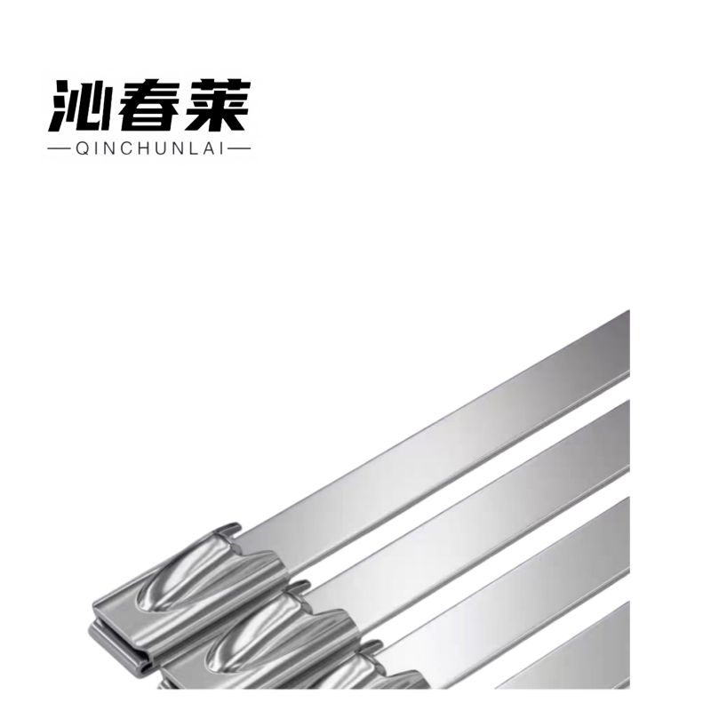 沁春莱不锈钢扎带4.6*200-100/包高清大图