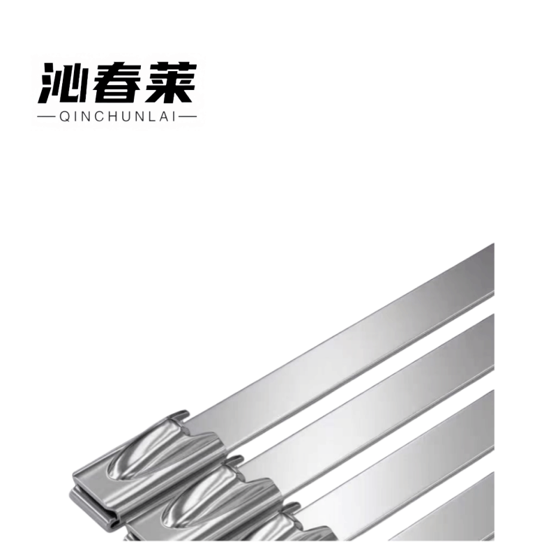 沁春莱不锈钢扎带4.6*200-100/包图片