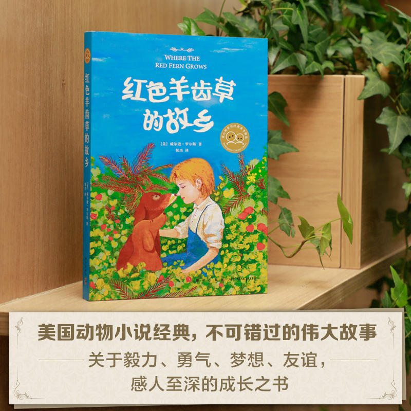 [正版]书籍红色羊齿草的故乡 2019版 小学生课外书6-9-12岁少儿童成长励志课外故事书世界经典外国儿童文学短篇动高清大图