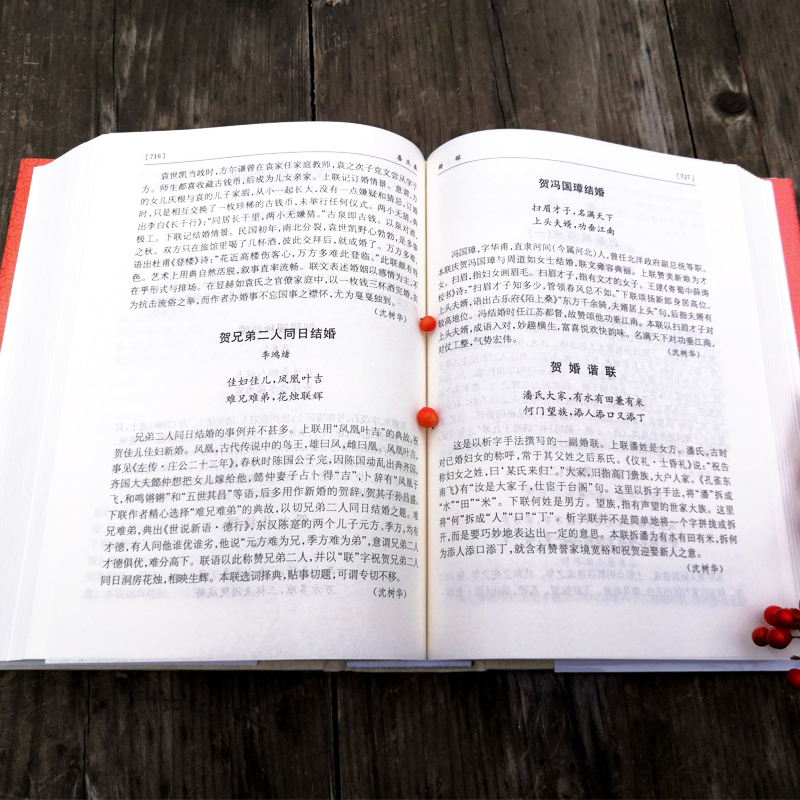 [正版]名联鉴赏辞典(新一版) 中国文学鉴赏辞典大系 苏渊雷 收录名联1500余首 附/对联知识介绍/名联作者简介 上高清大图