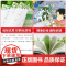 宝葫芦的秘密 人民文学出版社四年级下册必读课外书三年级快乐读书吧张天翼注音版老师阅读正版书籍小学生宝葫芦里的故事书
