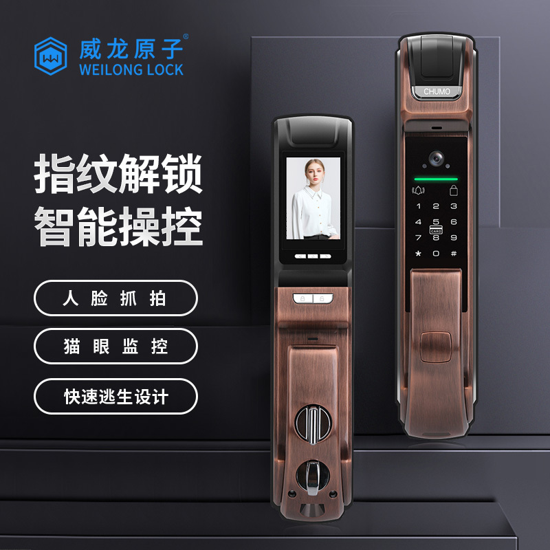 威龙原子高精度密码锁远程开启高清监控带入户灯指纹锁
