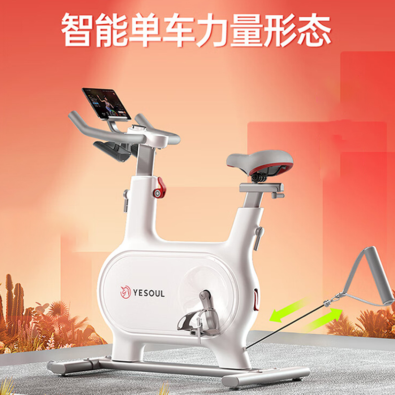 野小兽(YESOUL) 自发电美体动感单车家用一机多用运动减肥健身器材室内自行车 M2T