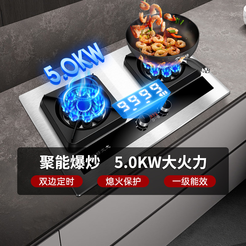 欢呼好太太燃气灶双灶 5.0KW大火力鸳鸯九腔猛火定时煤气灶单灶具台式不锈钢大面板嵌入式双眼灶煤气炉液化气灶A196-1