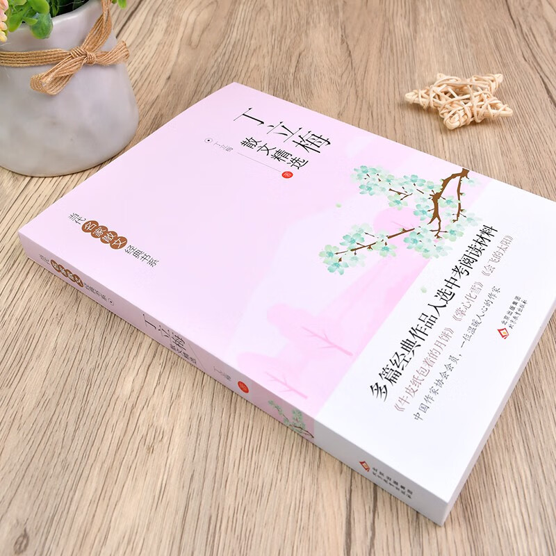 多篇经典作品入选中考阅读材料 丁立梅写作书 丁立梅经典散文集 入选