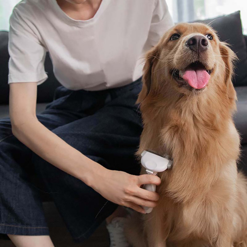 Pawbby单手式祛毛刀梳 缓解爱宠毛发打结 爱宠不痛 省时省力去浮毛