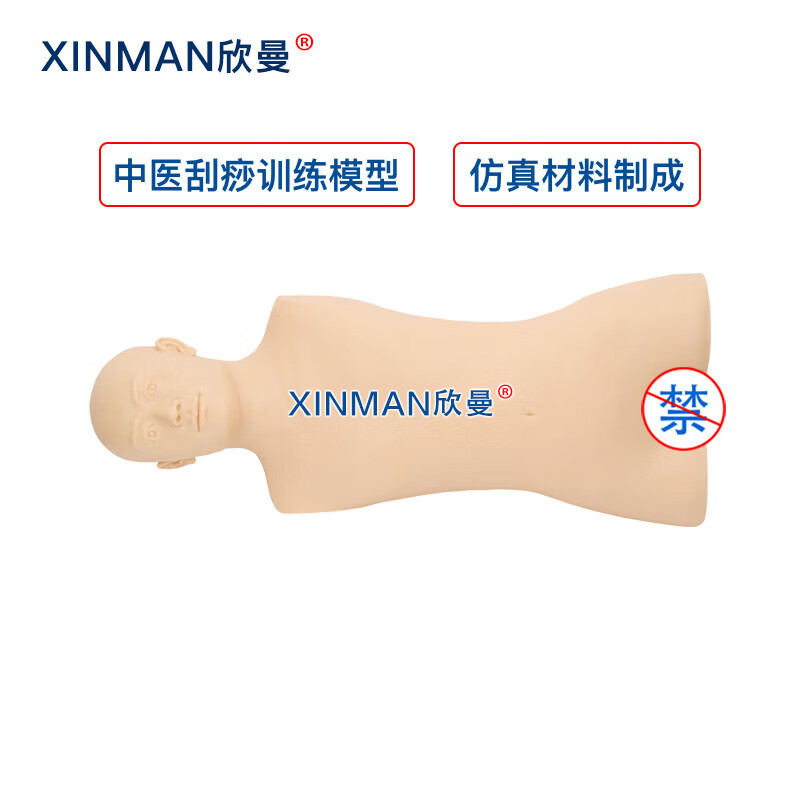 欣曼科教 中医刮痧训练模型 刮痧练习模拟人 中医教学用人体模型高清大图
