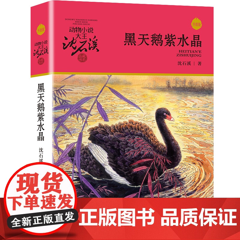 正版 黑天鹅紫水晶 动物小说大王沈石溪品藏书系中小学生课外书籍7-12-14岁儿童文学读物学校老师寒暑假阅读书高清大图