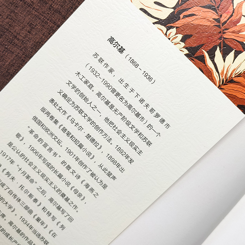 醉染图书在人间 我的大学 全译本平装版9787519004828高清大图