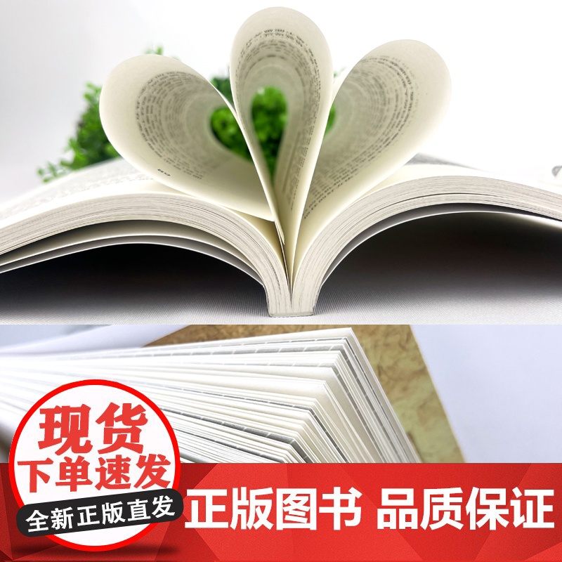 塔木德原著中文版正版大全集智慧全书犹太人的书创业与致富圣经做生意经商财富自由成功励志书籍书排行榜经典木塔德原版原著高清大图