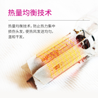 飞科(FLYCO)电吹风FH6273 2200W6档大功率均温变速健康柔风负离子功能冷热风发廊家用吹风筒